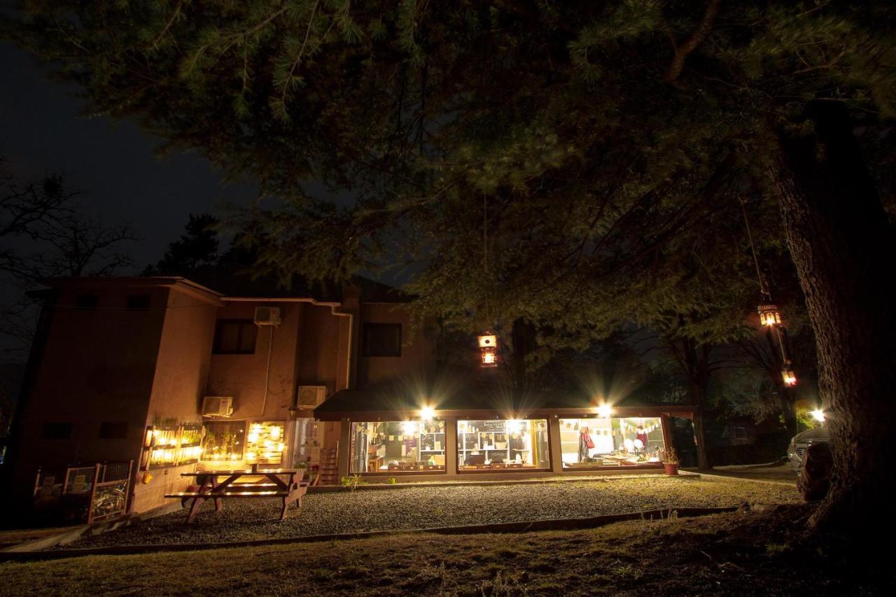 ויז'ה חנראל בלגרנו The Hostelhouse Centro. Casa De Huespedes. מראה חיצוני תמונה
